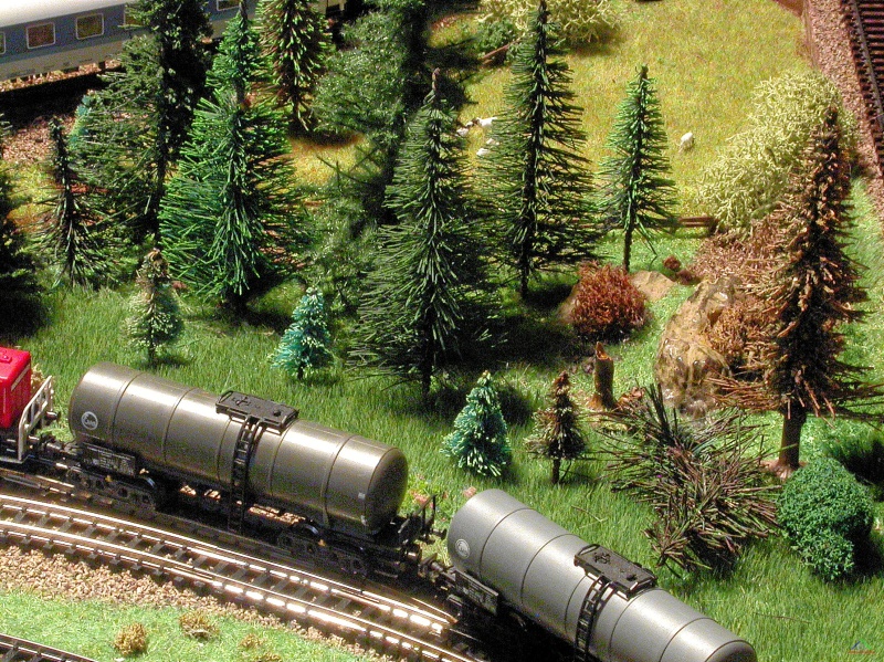 079 Gleisdreieck Ennau.JPG - Geschützte Natur im Gleisdreieck Ennau